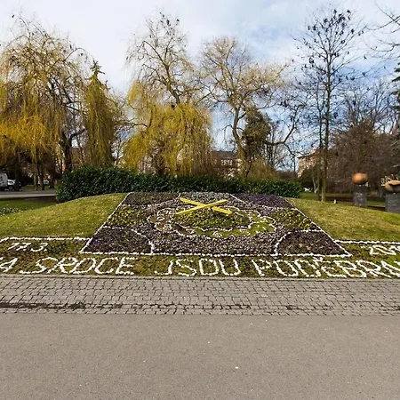 Alfa Podebrady