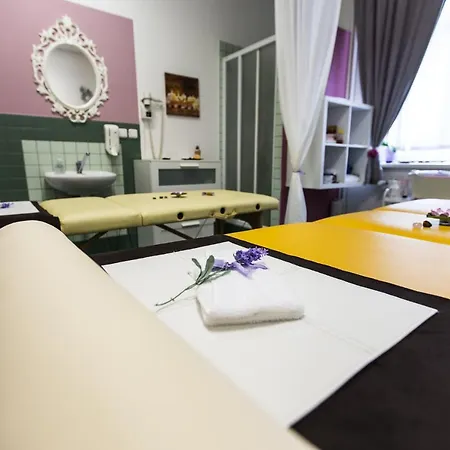 Guest house Alfa 3*