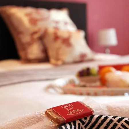 בית הארחה Alfa